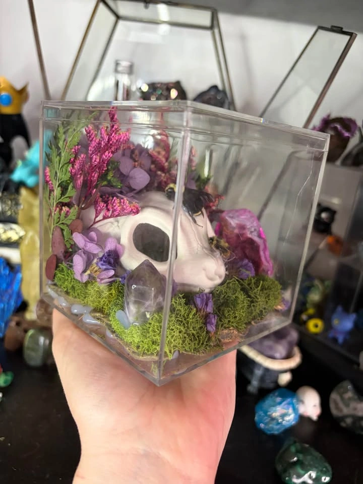 Mew Skull Insect Terrarium - photo 3