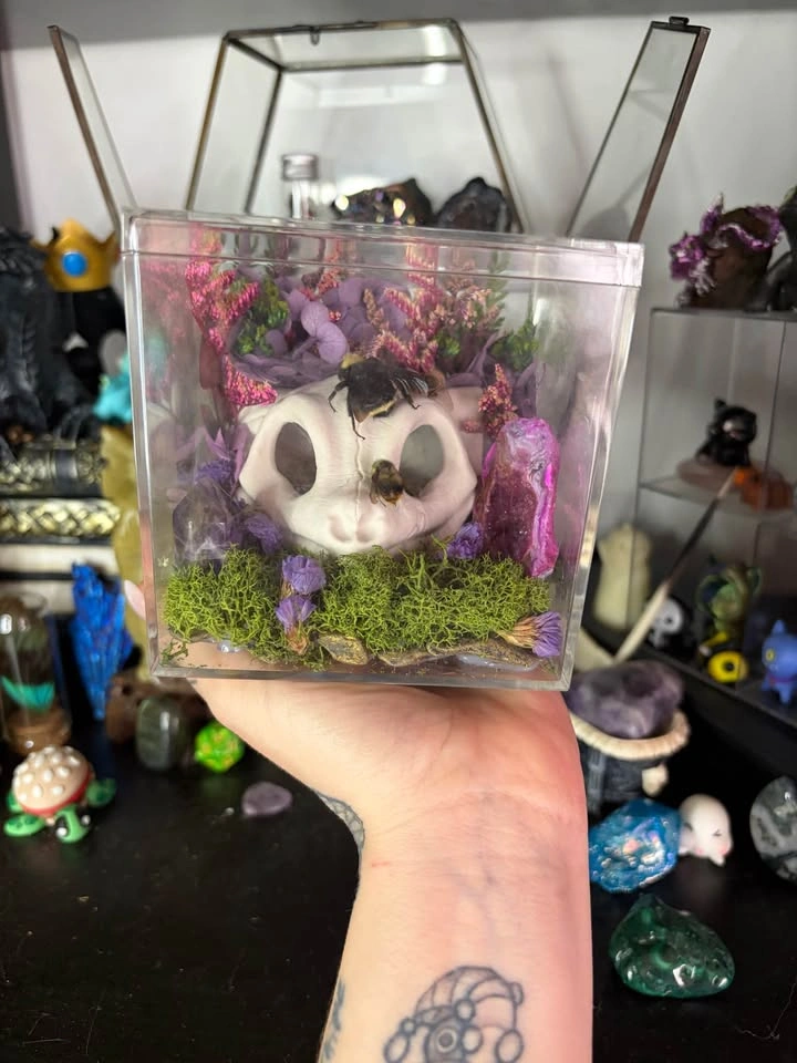 Mew Skull Insect Terrarium - photo 4