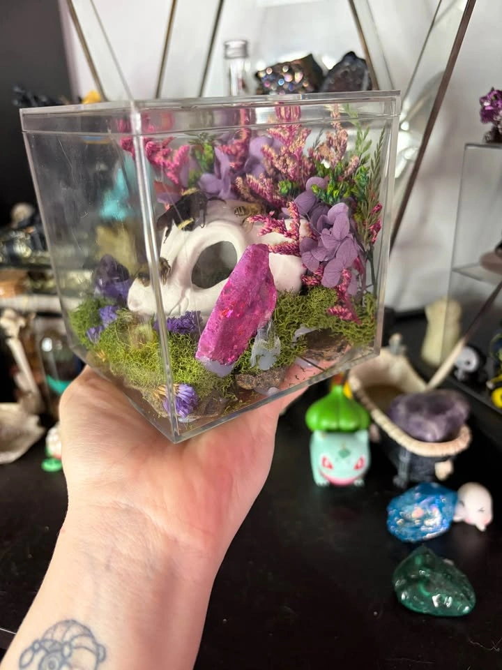 Mew Skull Insect Terrarium - photo 5