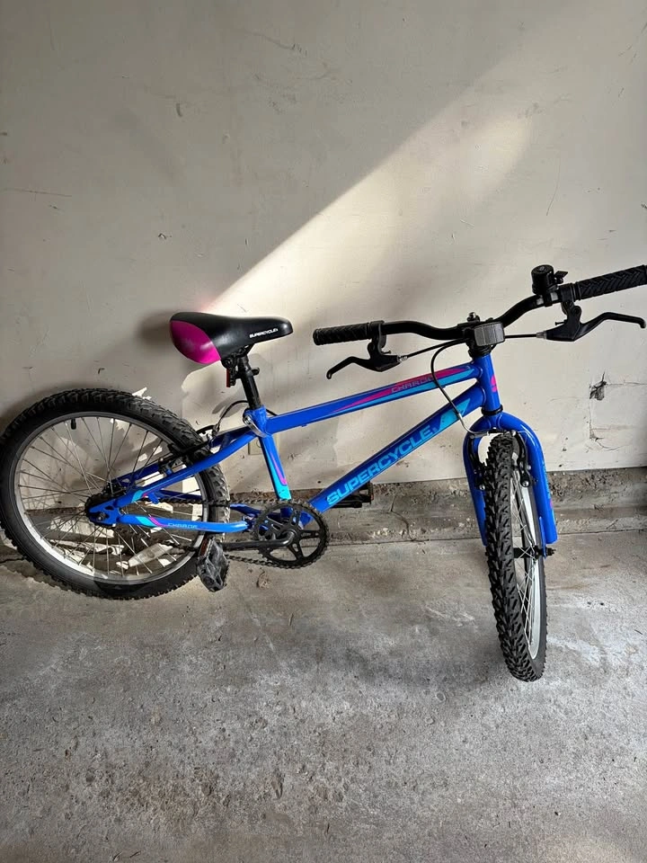 Supercycle Charge Bike 20”