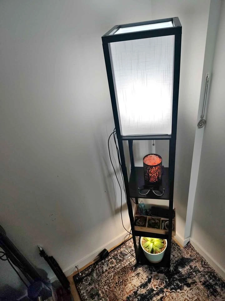 Modern Shelf Floor Lamp + Amazon Smart Bulb