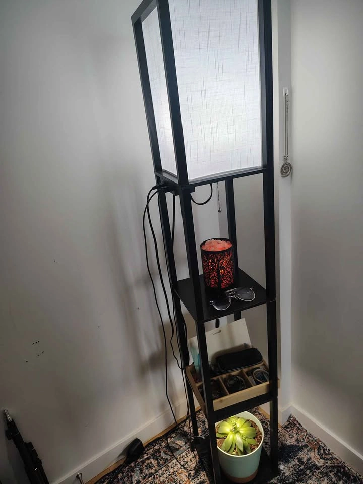 Modern Shelf Floor Lamp + Amazon Smart Bulb - photo 2