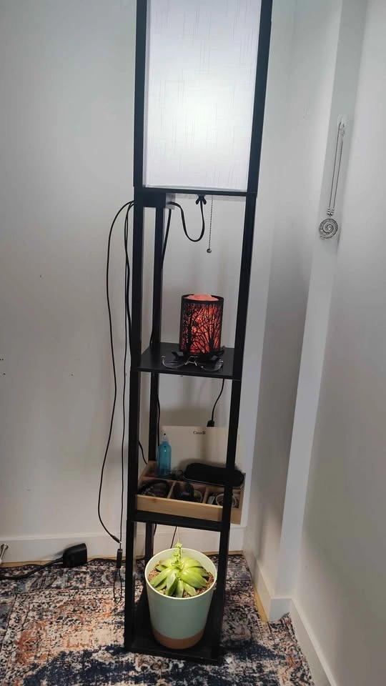 Modern Shelf Floor Lamp + Amazon Smart Bulb - photo 3