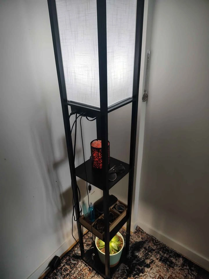 Modern Shelf Floor Lamp + Amazon Smart Bulb - photo 4