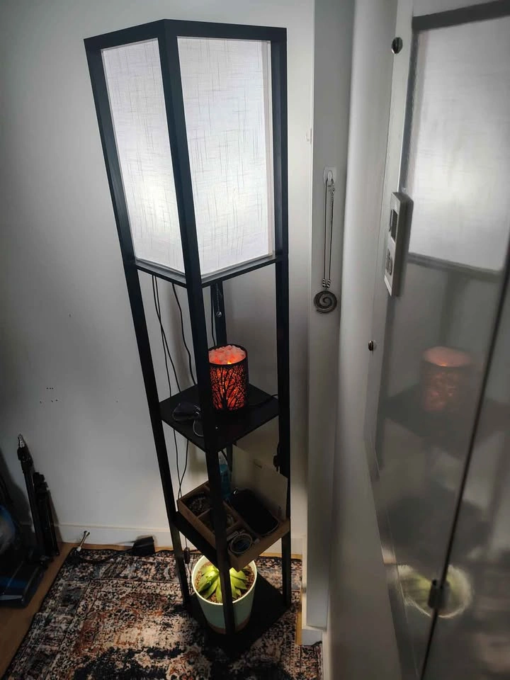 Modern Shelf Floor Lamp + Amazon Smart Bulb - photo 5
