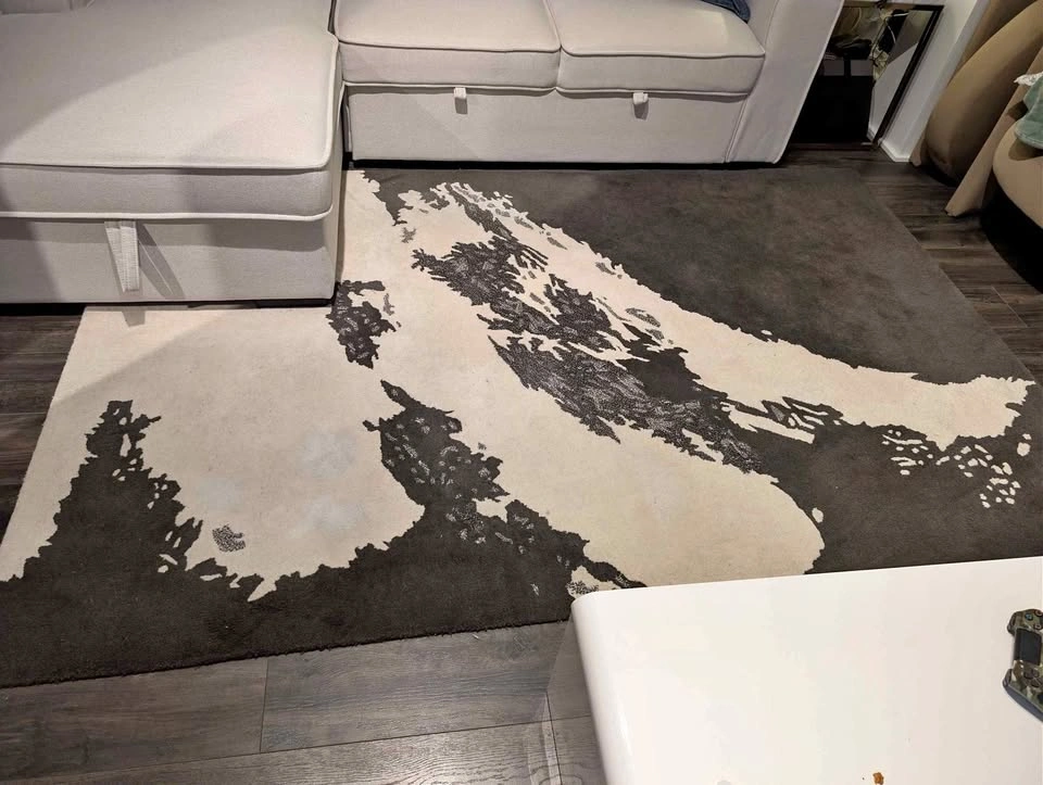 CB2 100% Wool Rug (5'x8')