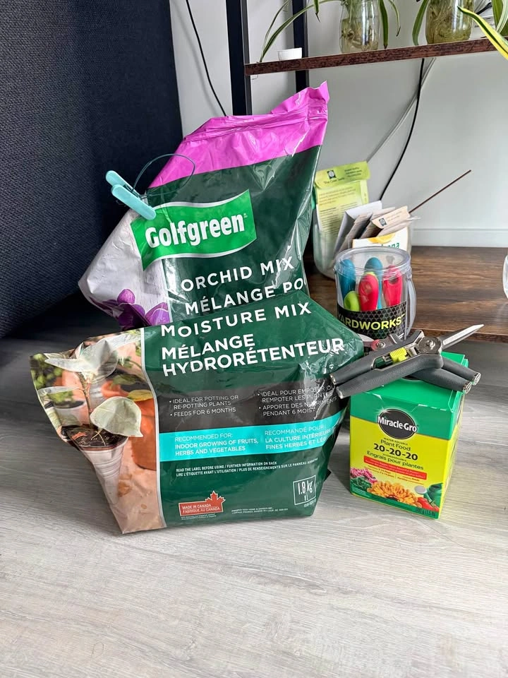 Plant Care Bundle: Orchid Mix, Plant Food, Pruners, Kids Tools