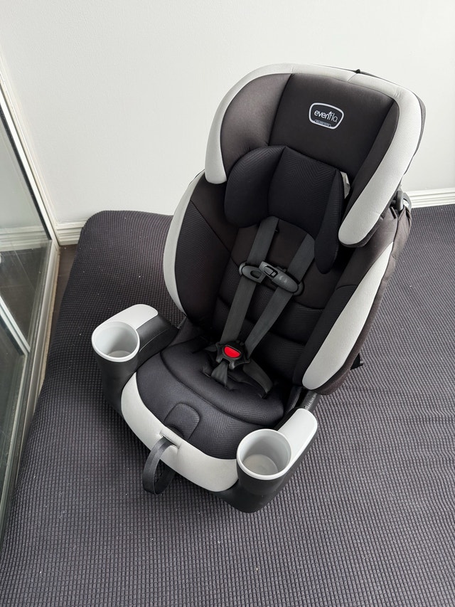 Evenflo Maestro Sport Harness Booster Car Seat (Granite)