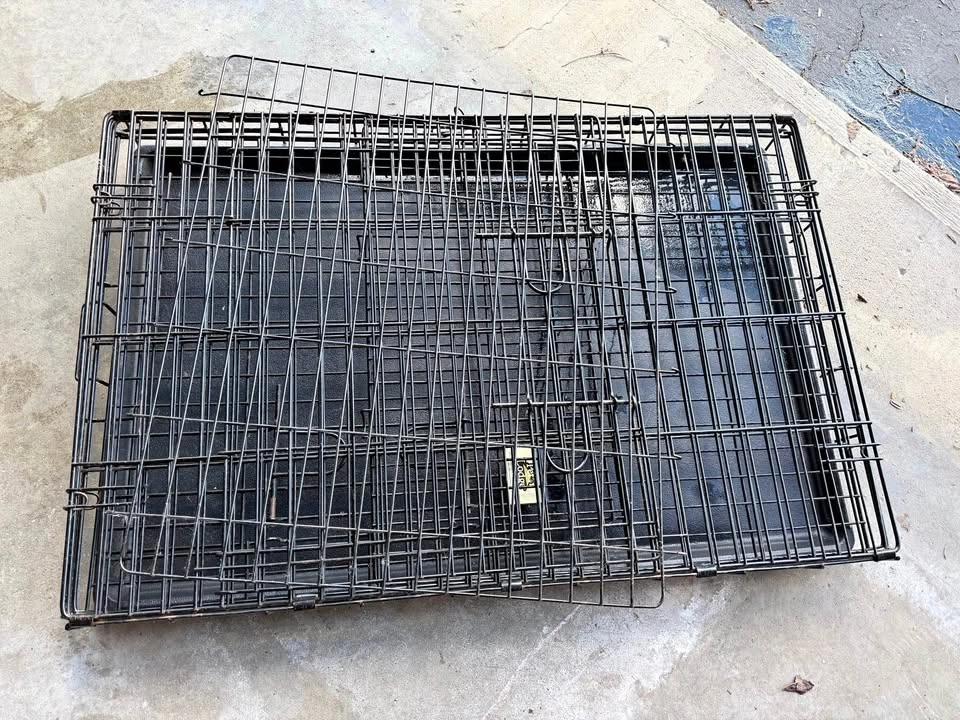 Large dog crate