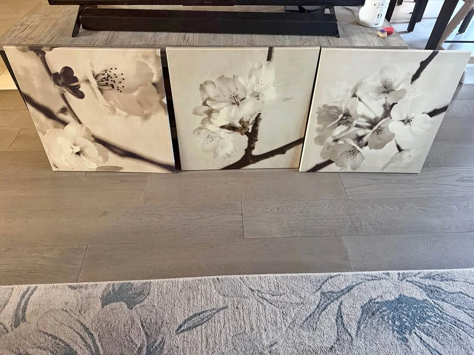 Photo Canvas Set of 3