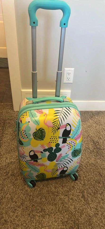 Kids Flamingo Carry-on - Excellent Condition 🦩✈️