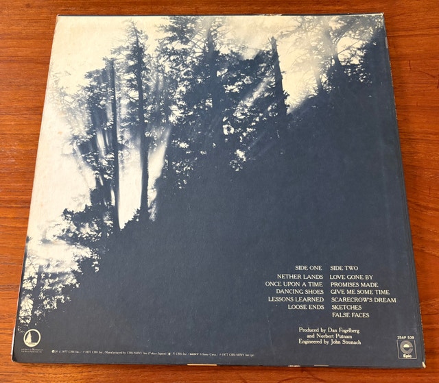 Dan Fogelberg - Nether Lands Vintage Vinyl LP. 1977 album. - photo 4