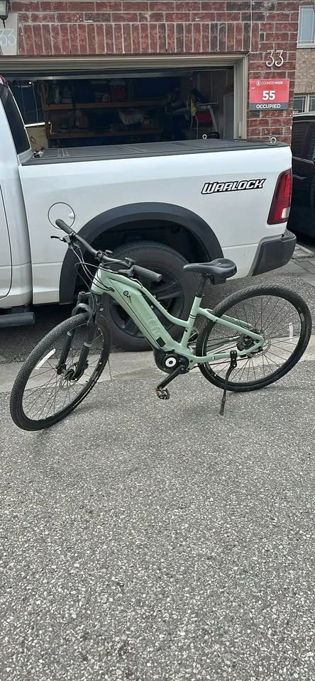E bike giant liv rove E+