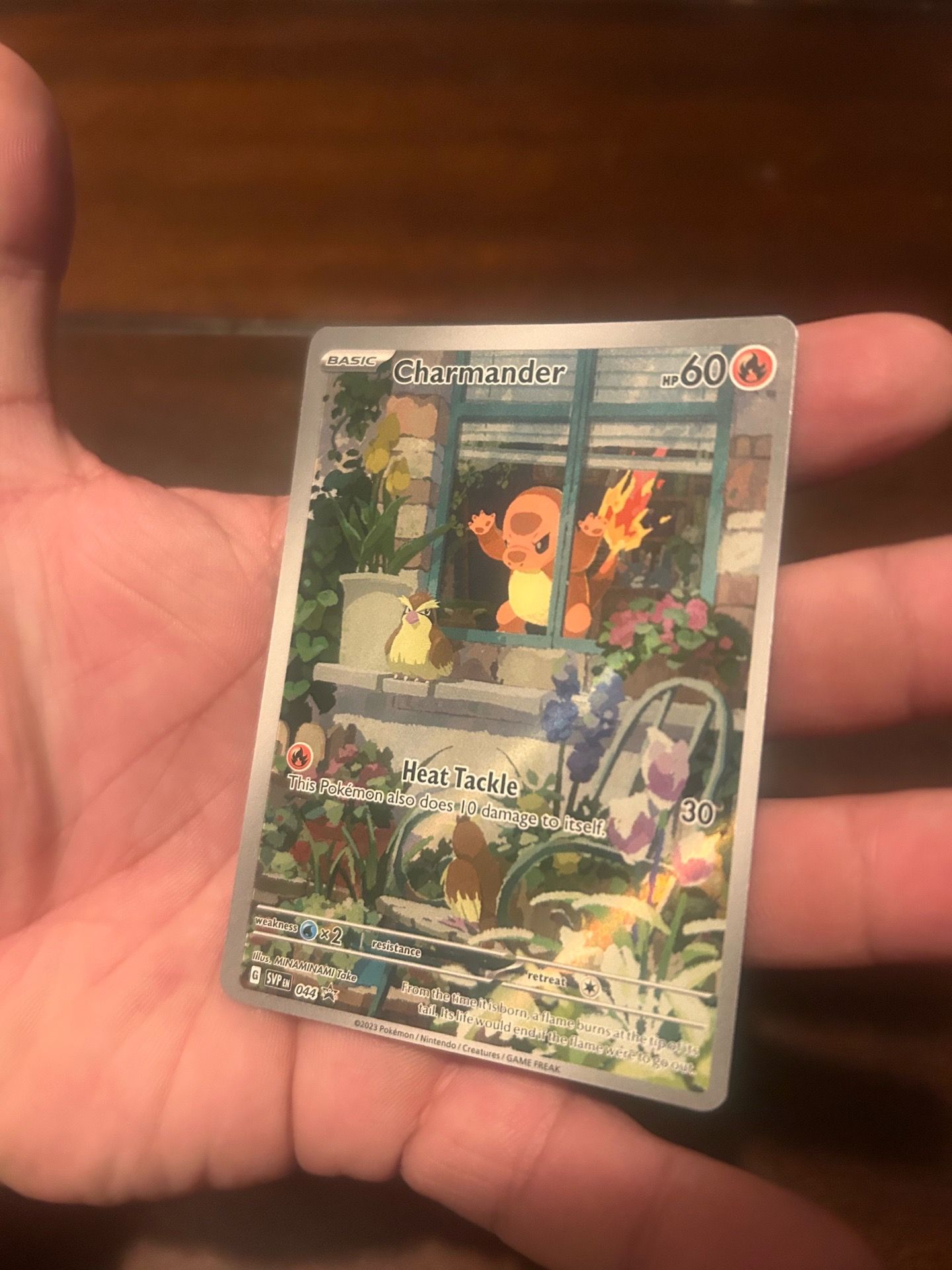Pokemon TCG SVP44 Charmander Obsidian Flames Promo
