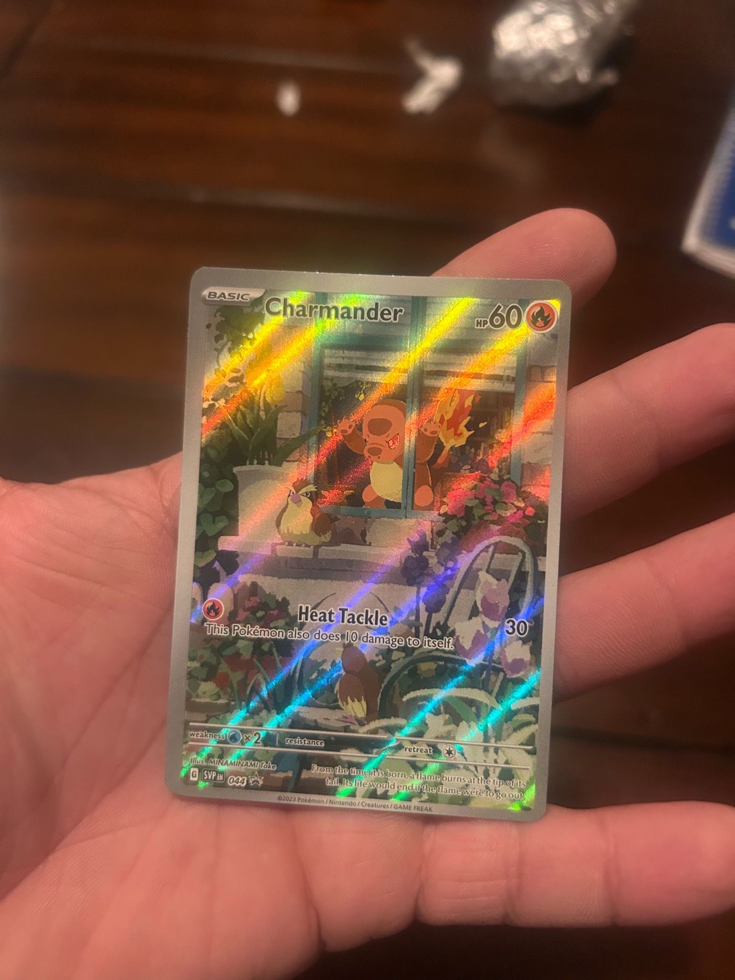 Pokemon TCG SVP44 Charmander Obsidian Flames Promo - photo 2