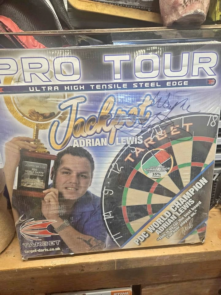 Pro Tour Dart Board