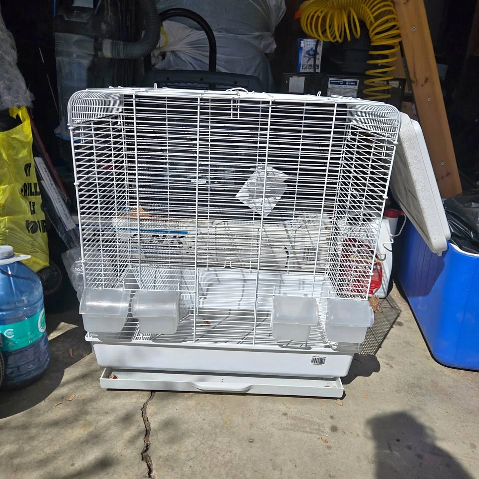 medium white Bird Cage
