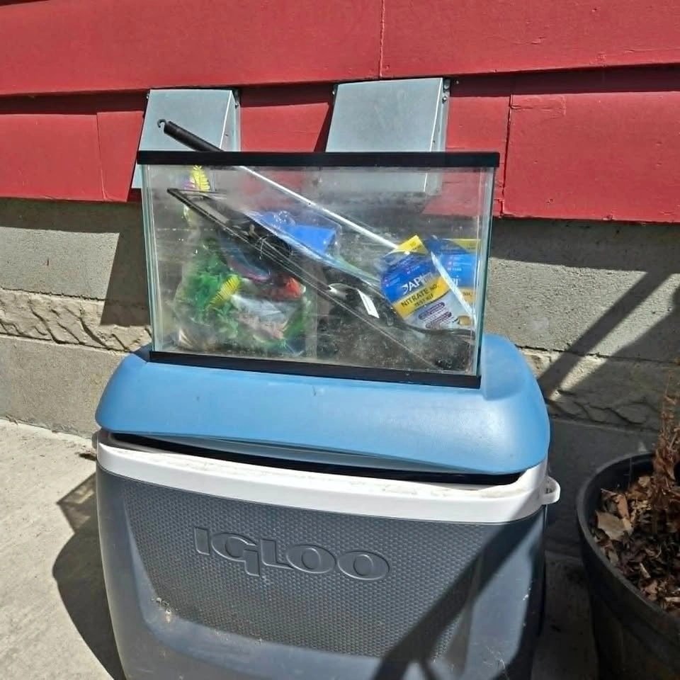 Fish tank & Accessories