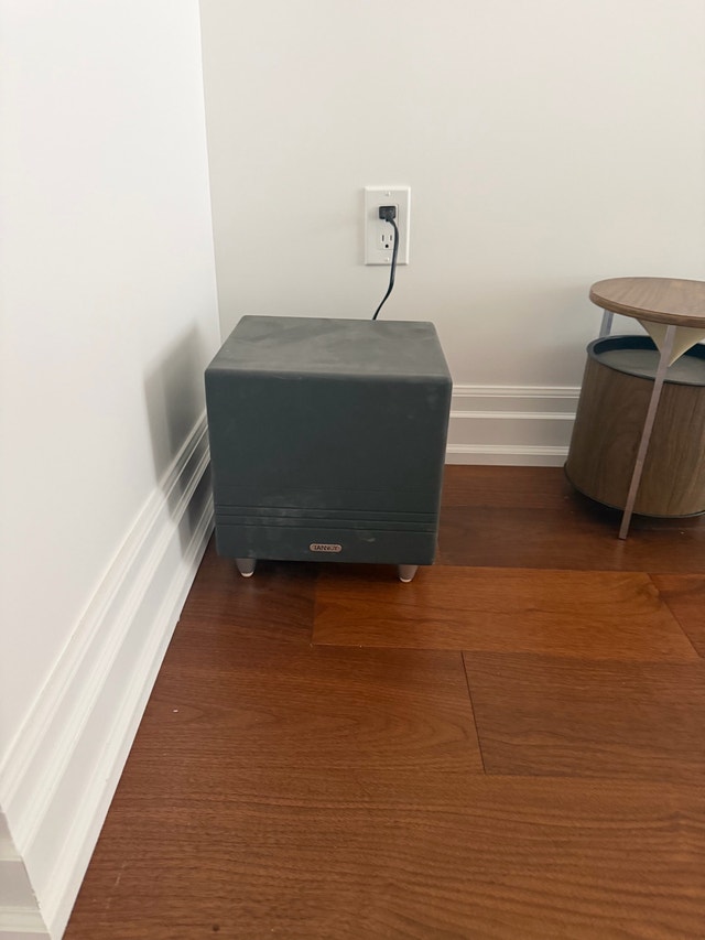 Tannoy TS8 Subwoofer