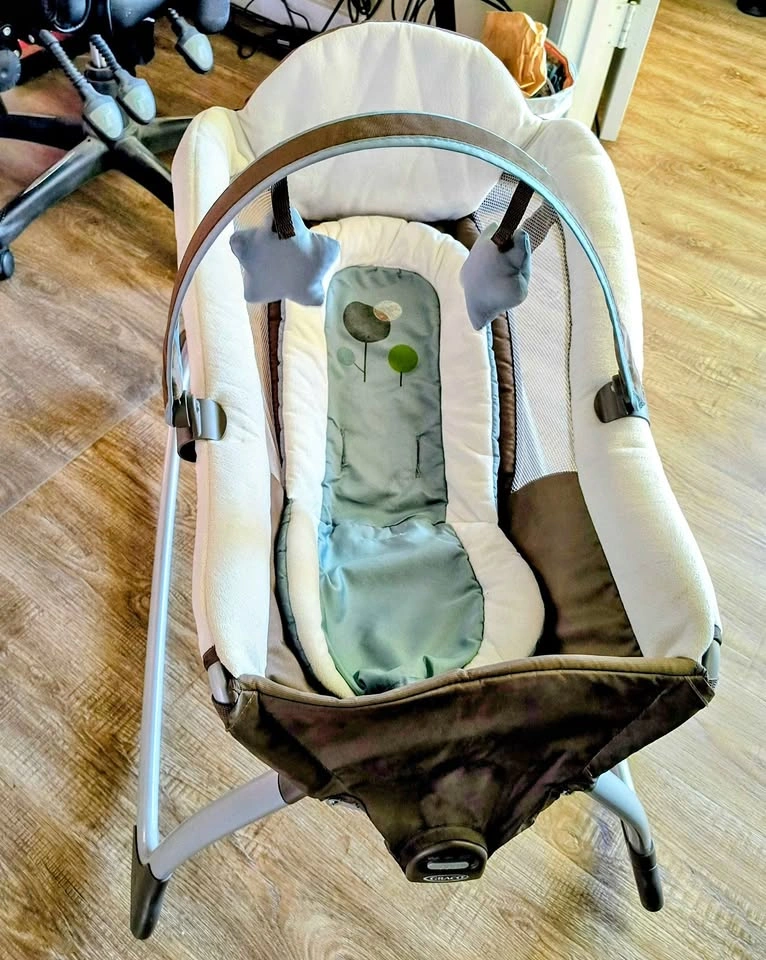 Graco Bouncer Bassinet