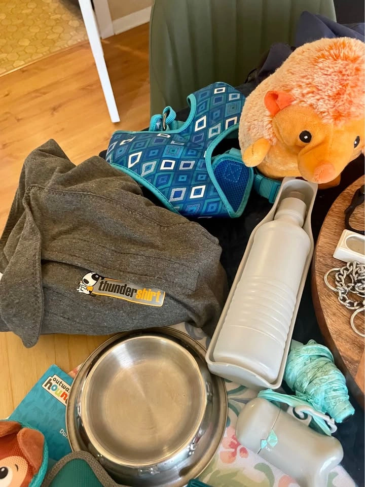 Dog bundle for your fur baby - photo 3