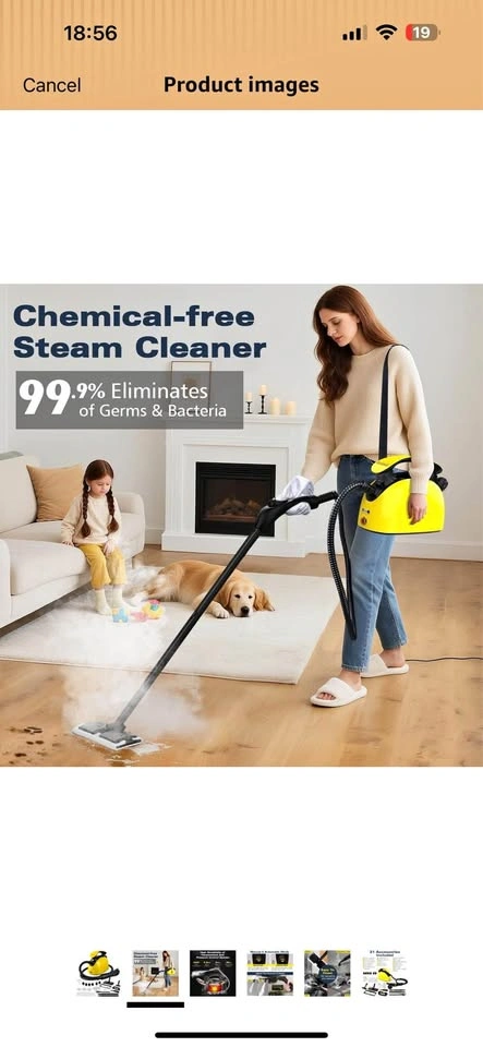 Waitbird Steam Cleaner with 21 Accessories