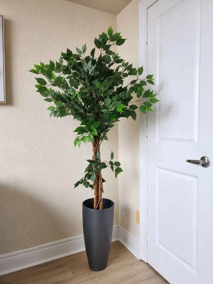 5' Nearly Natural Ficus Silk Tree | Artificial Indoor Tree | Lik - photo 5