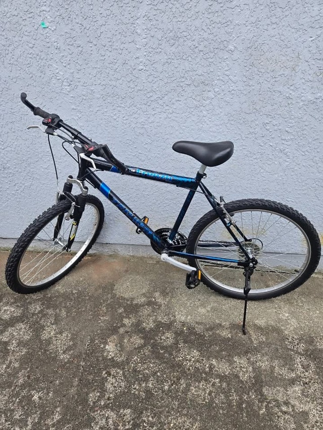 Triumph Frenzy 18-Speed Mountain Bicycle - Size 19"