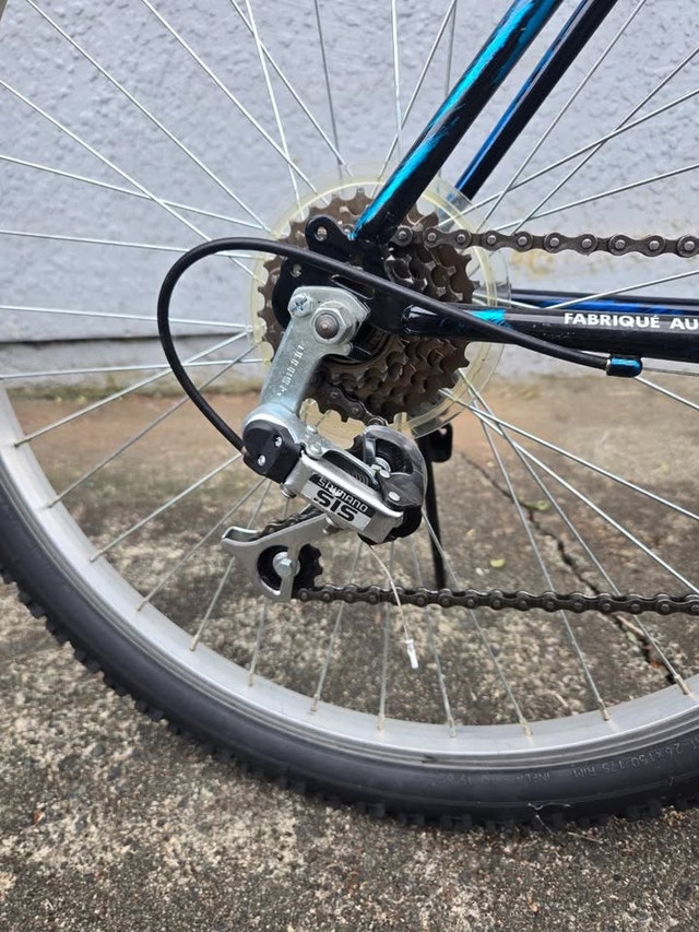 Triumph Frenzy 18-Speed Mountain Bicycle - Size 19" - photo 3