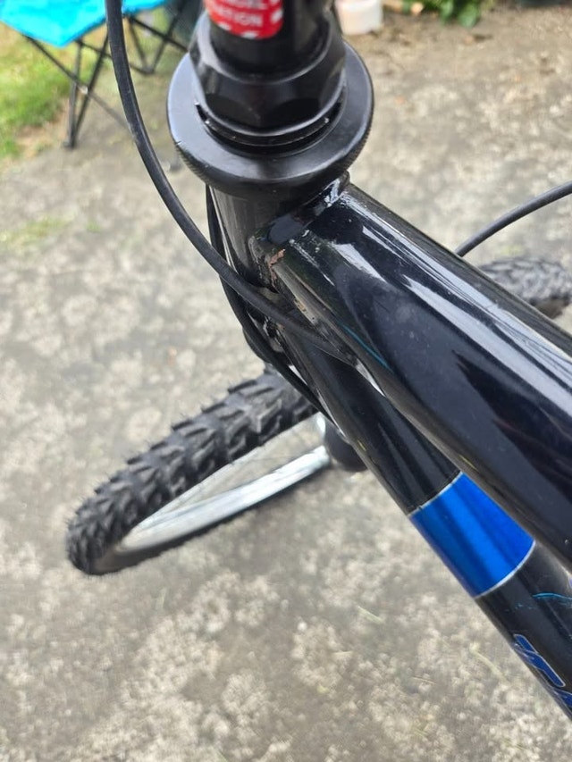 Triumph Frenzy 18-Speed Mountain Bicycle - Size 19" - photo 4