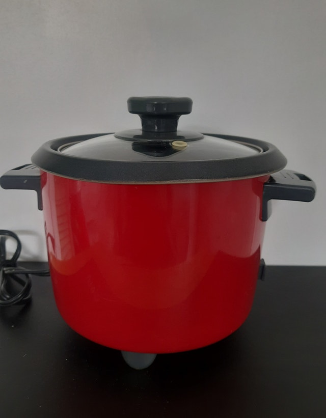 Salton Automatic Rice Cooker – 6 Cup - photo 2