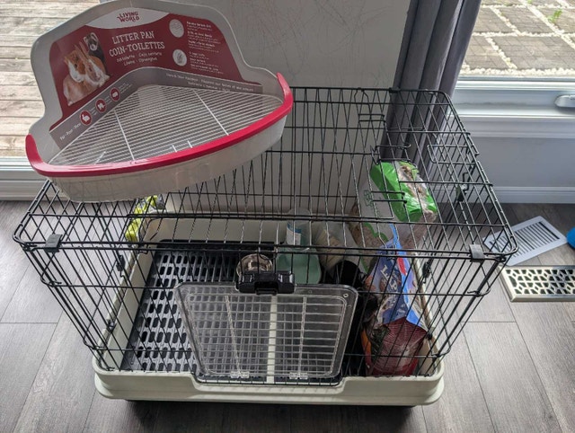 Rabbit Cage and Supplies