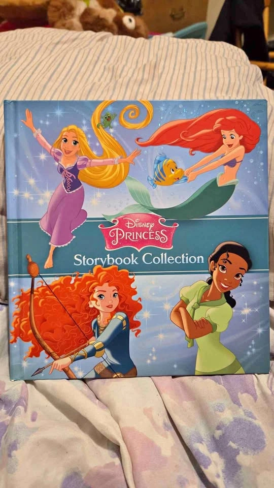 Disney Princess Story Book Collection