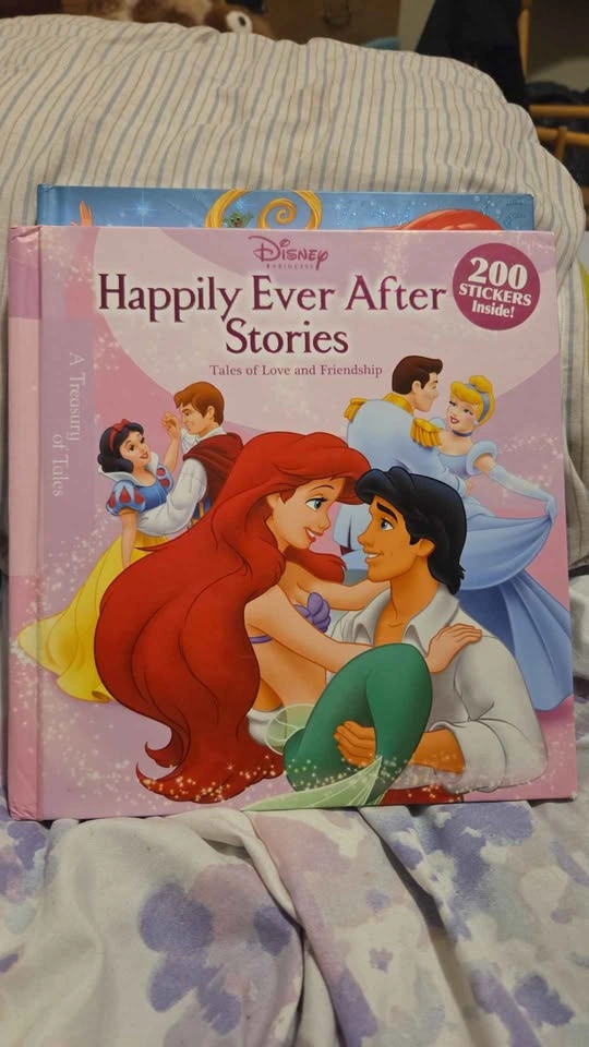 Disney Princess Story Book Collection - photo 2