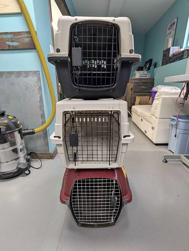 3 Small Dog Crates