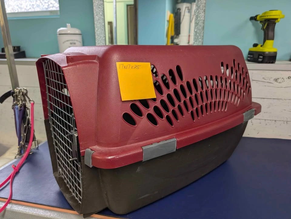 3 Small Dog Crates - photo 2