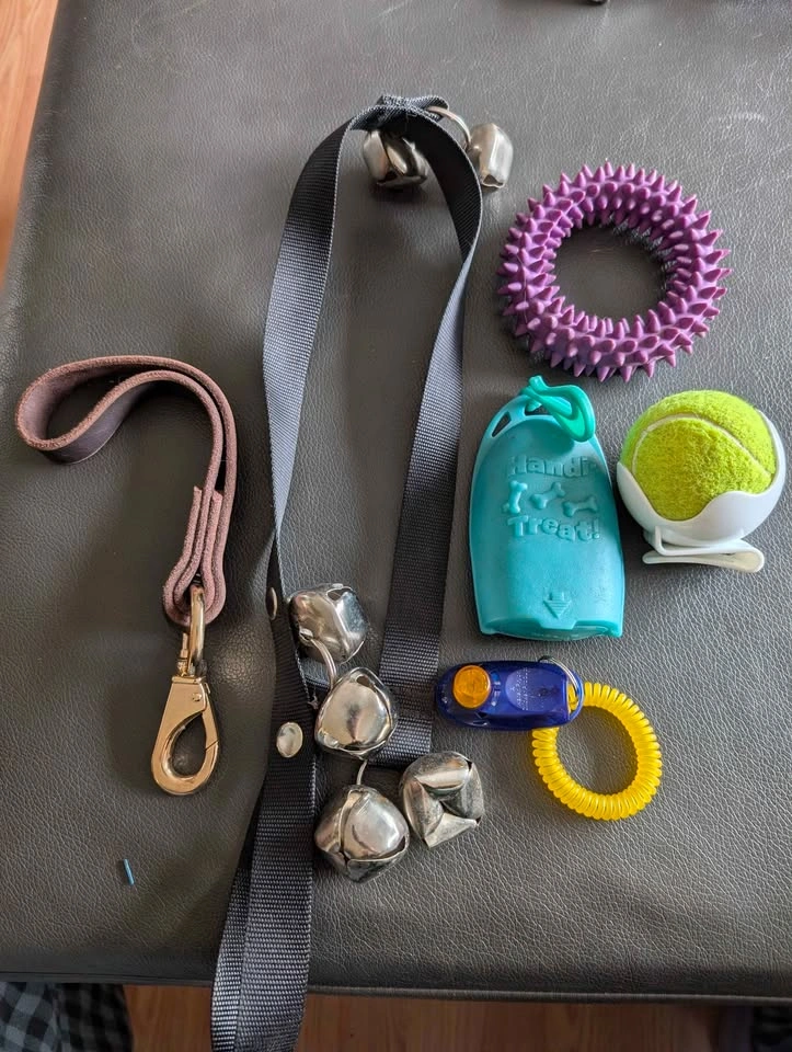 Dog Training Lot - Buttons, Clicker, Treat Dispenser - photo 4
