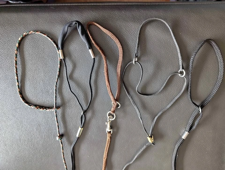 Dog Show Leads