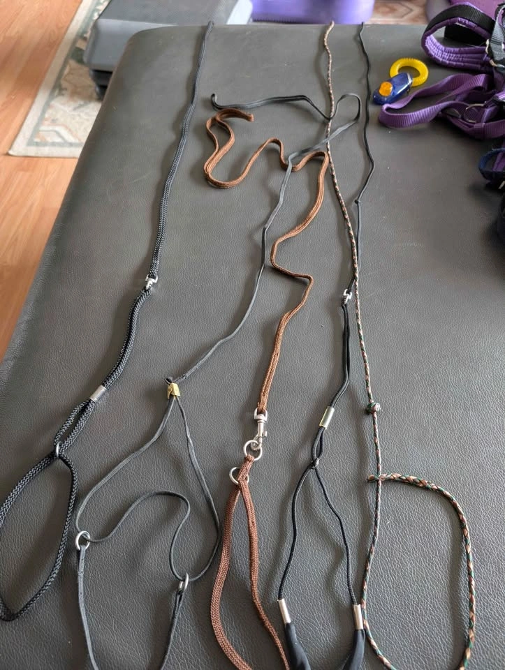Dog Show Leads - photo 2