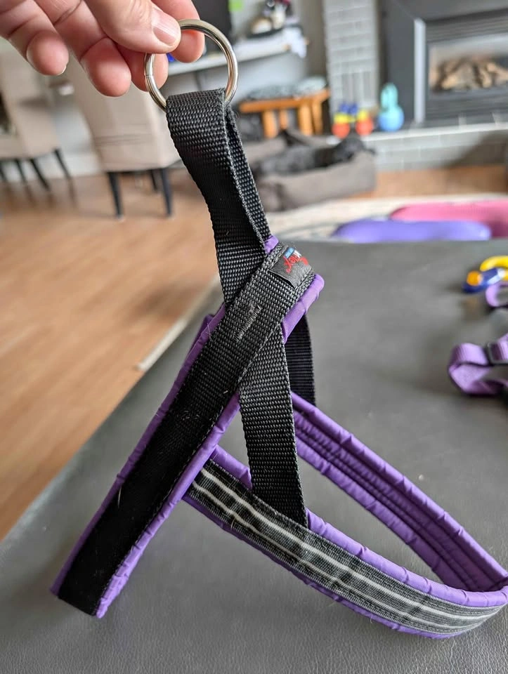 3 Medium Dog Harnesses - Good Used Condition