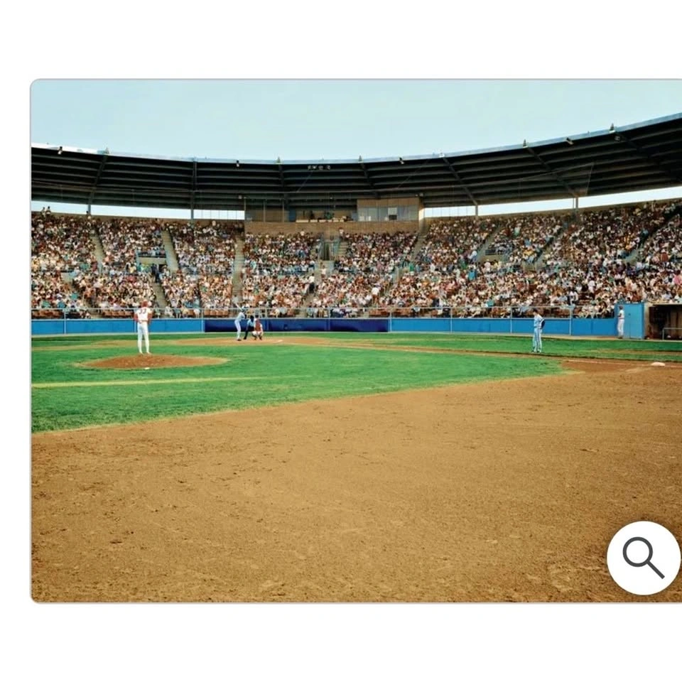 Environmental Graphics Wall Mural “Play Ball” 8’3” x 13’8”