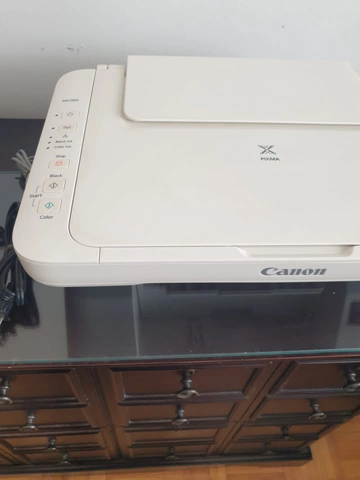 Canon PIXMA MG2920 Printer and Scanner - photo 2