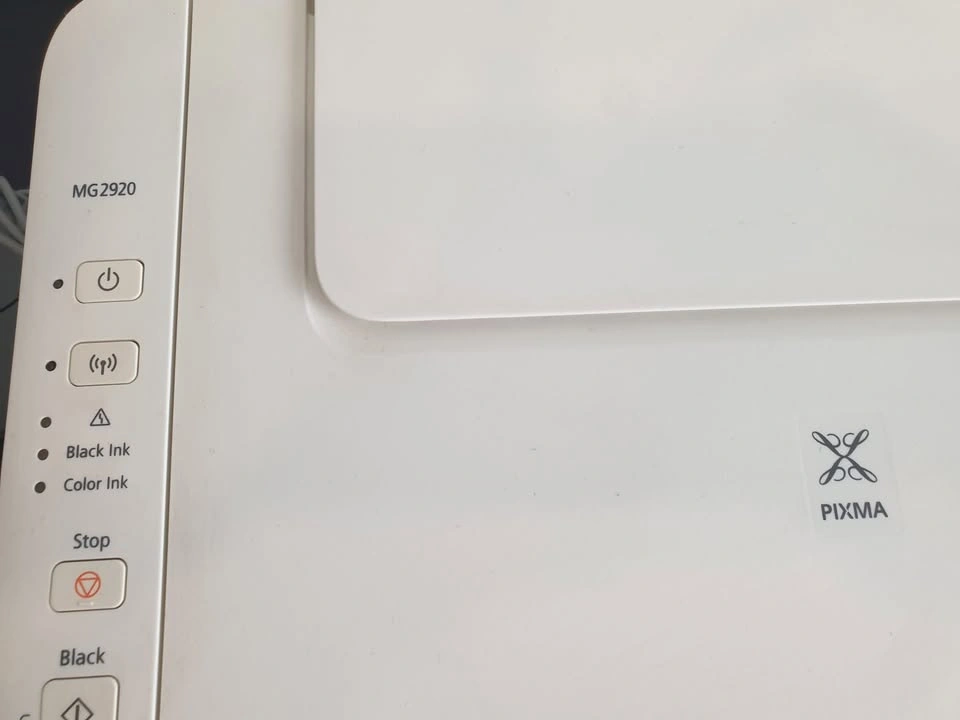 Canon PIXMA MG2920 Printer and Scanner - photo 4