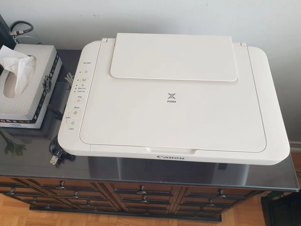 Canon PIXMA MG2920 Printer and Scanner - photo 5
