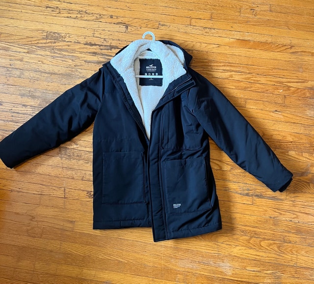 Hollister Winter Jacket