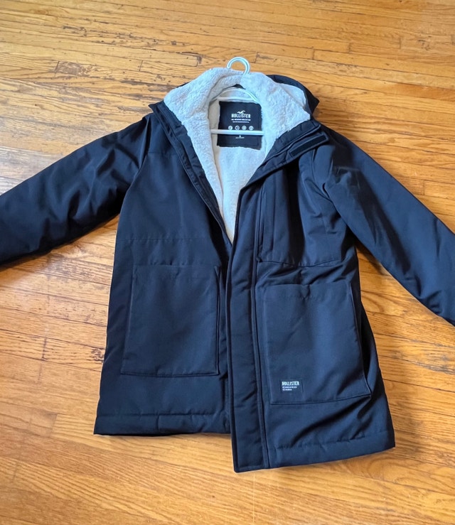 Hollister Winter Jacket - photo 2