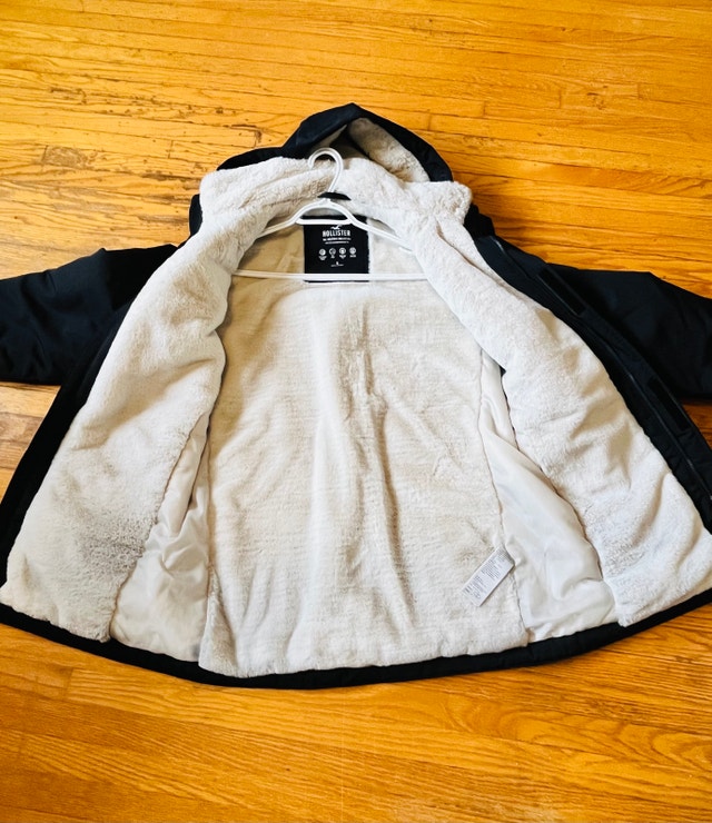 Hollister Winter Jacket - photo 4