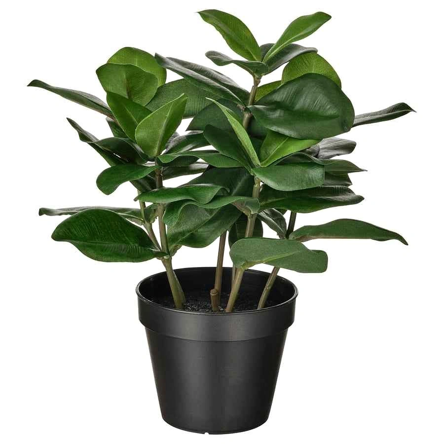 IKEA FEJKA Artificial Plant – Clusia | 12.6" | Like New