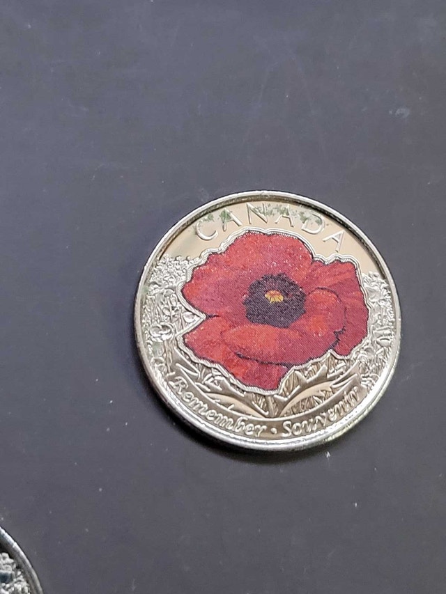 2015 Poppy Quarter - photo 4
