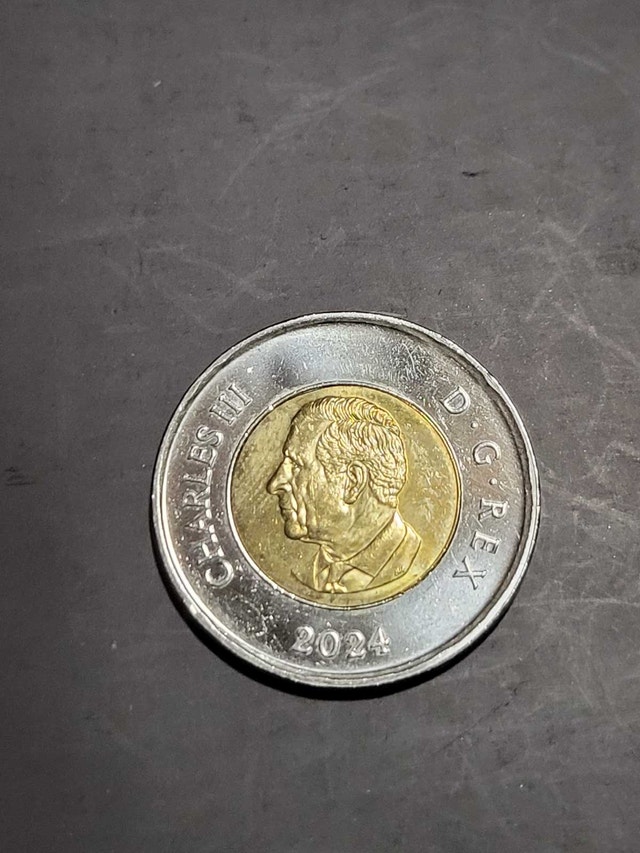 2024 Toonie